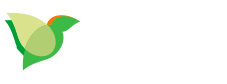 Tikkavisio